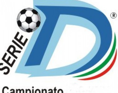  - Logo-Serie-D-600x4002-380x300