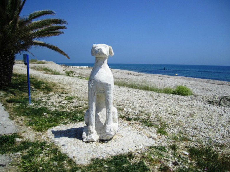 Dog Beach Pronta Per Lestate A Grottammare Riviera Oggi